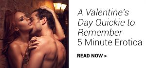 a valentine's day quickie to remember - 5 minute erotica