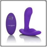 Rollerball Prostate Vibe with Remote